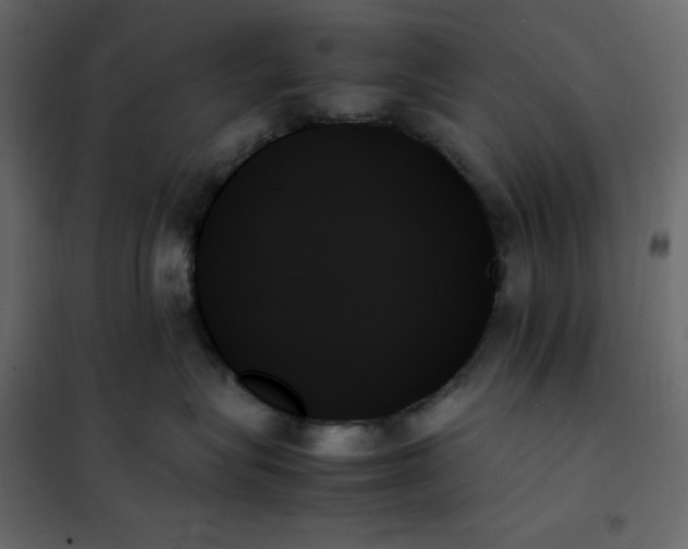 X0000102260575200808081403