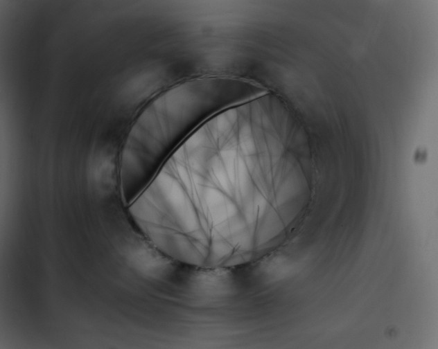 X0000102260576200808081403