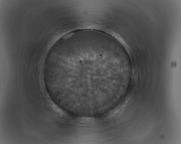 X0000102260577200808081403