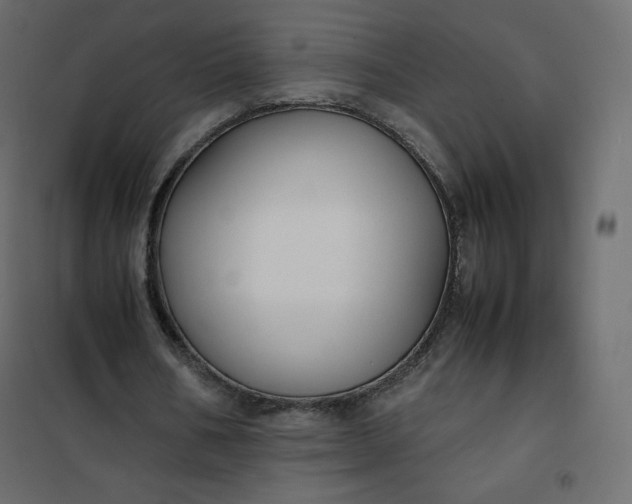 X0000102260578200808081403