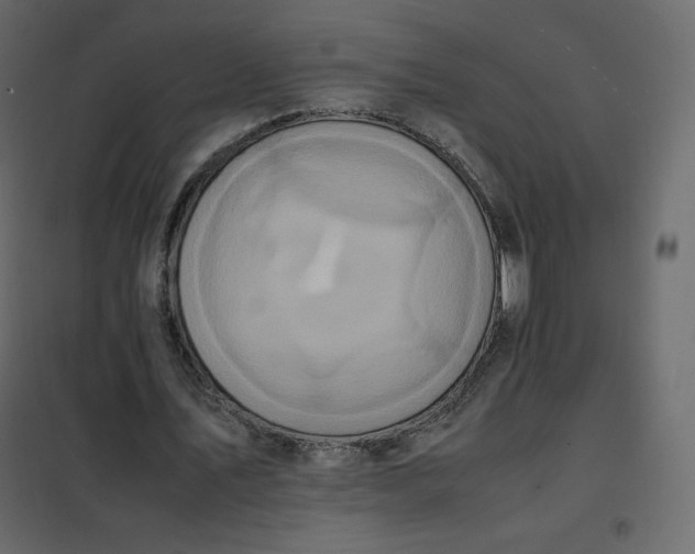 X0000102260579200808081403