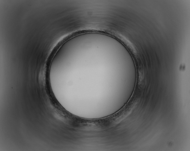 X0000102260580200808081403