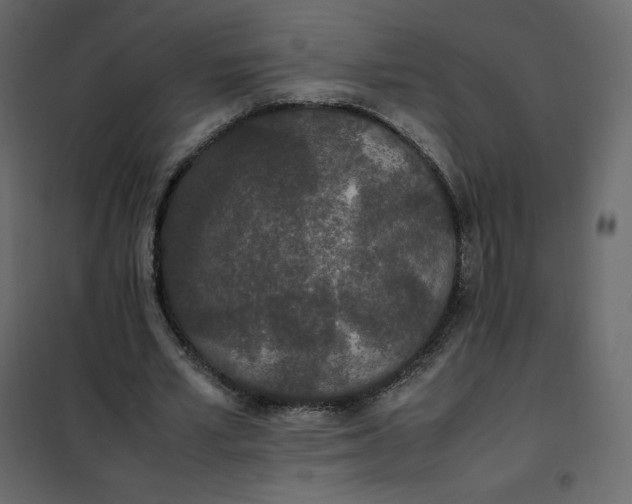 X0000102260581200808081403