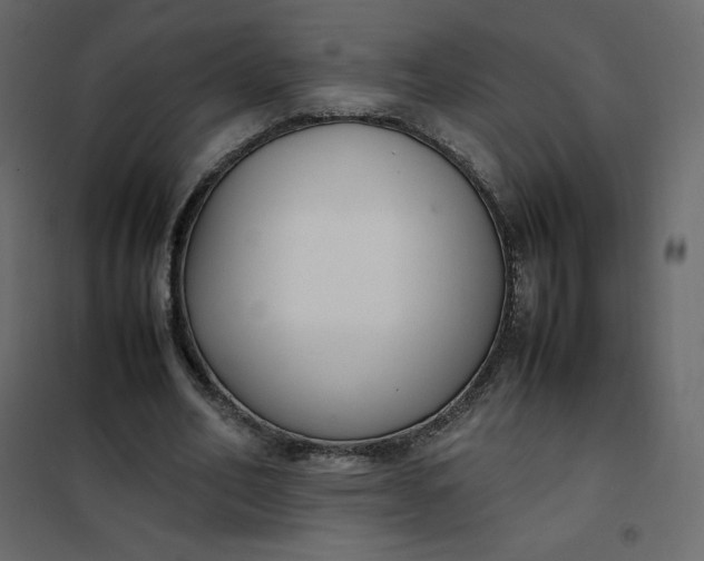 X0000102260582200808081403