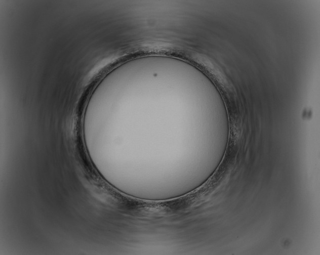 X0000102260583200808081403