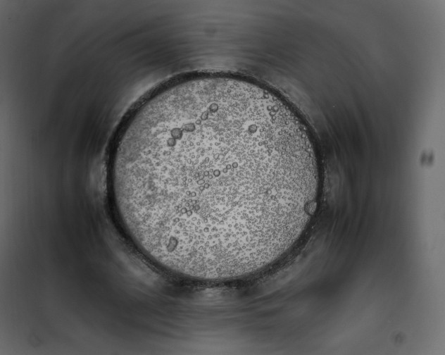 X0000102260584200808081403