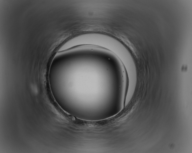 X0000102260585200808081403