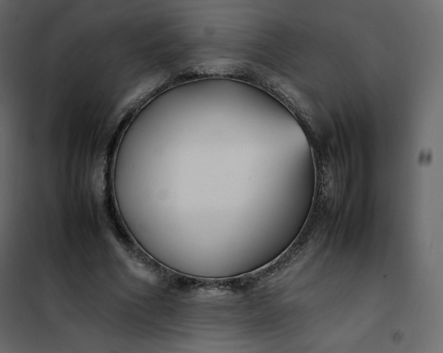 X0000102260586200808081403