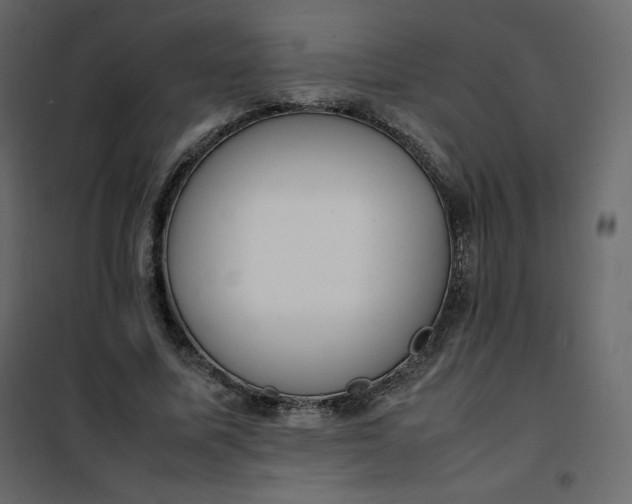 X0000102260587200808081403