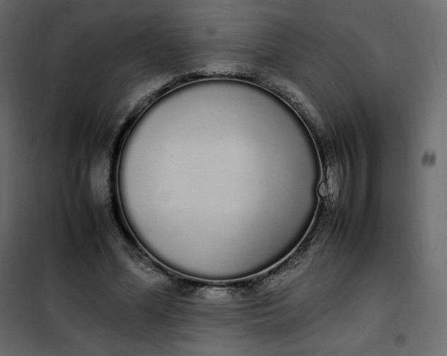 X0000102260588200808081403