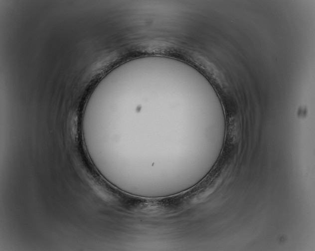 X0000102260589200808081403