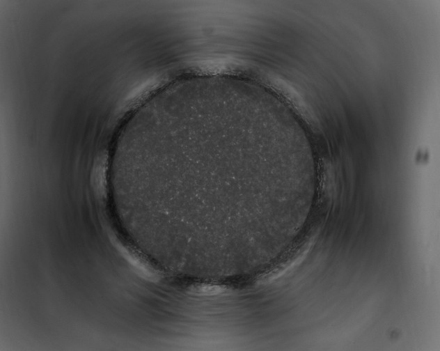 X0000102260590200808081403