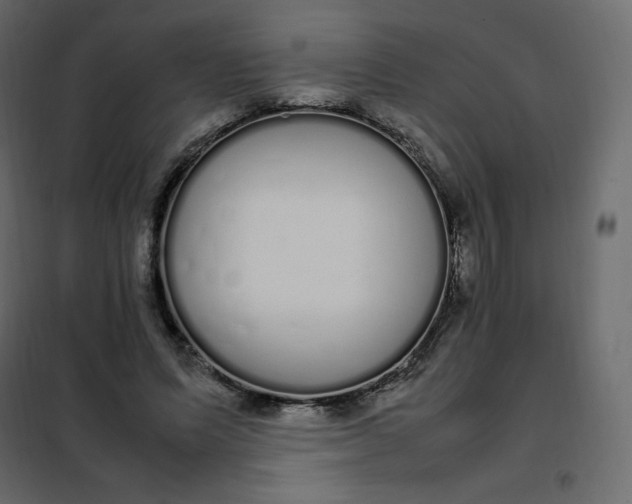 X0000102260591200808081403