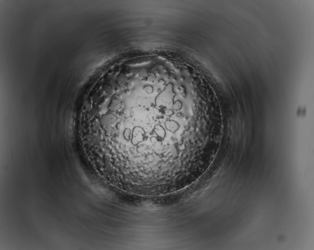 X0000102260592200808081402