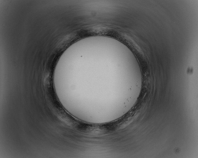 X0000102260597200808081402