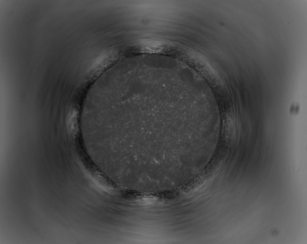 X0000102260598200808081402