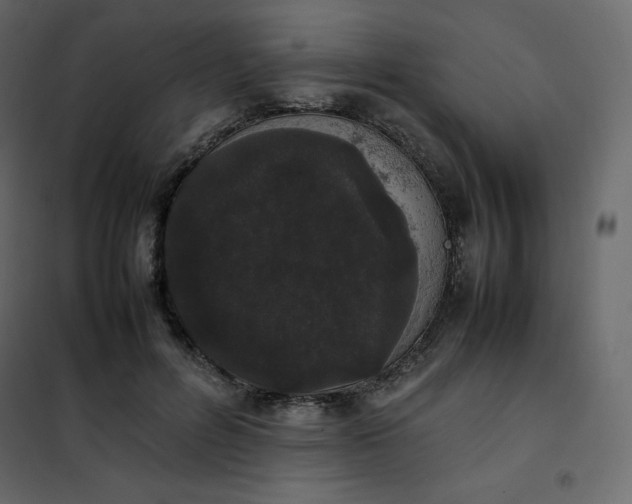 X0000102260600200808081402