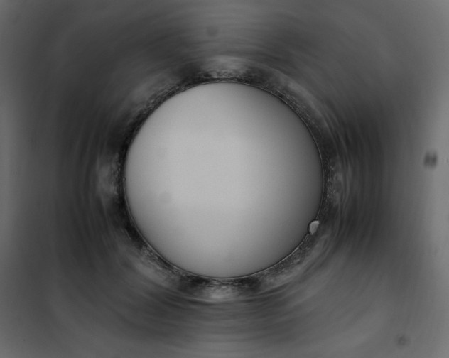 X0000102260604200808081402