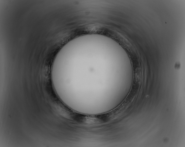 X0000102260605200808081402