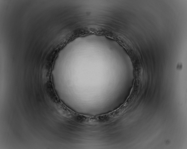 X0000102260606200808081402