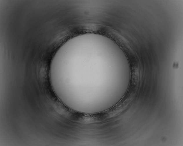 X0000102260608200808081402