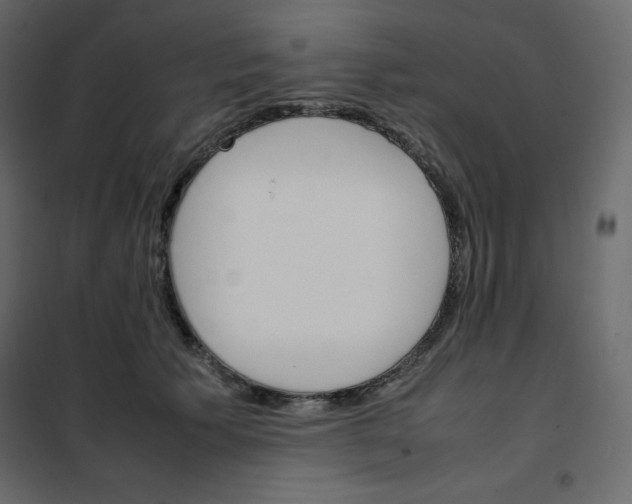 X0000102260609200808081402