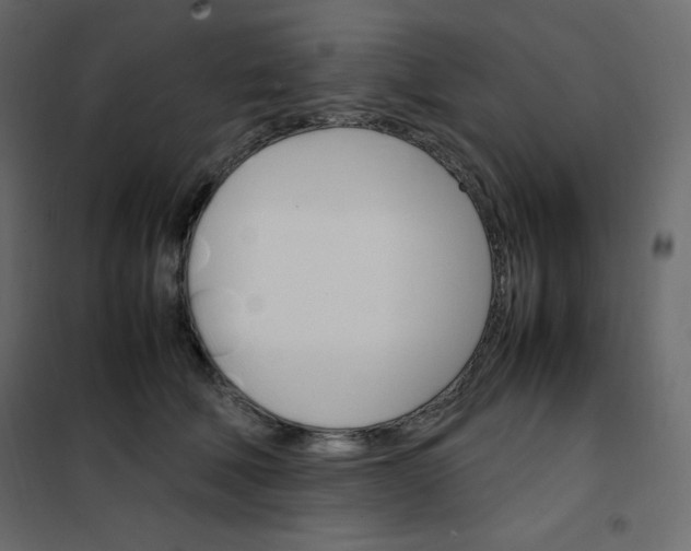 X0000102260610200808081402