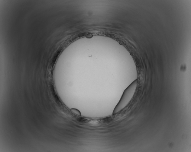 X0000102260611200808081402