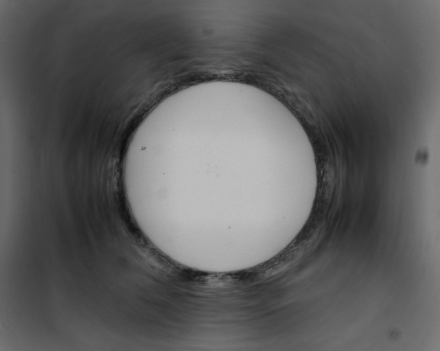 X0000102260612200808081402