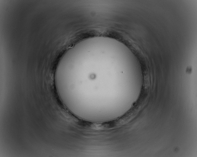 X0000102260613200808081402