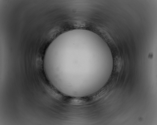 X0000102260614200808081402