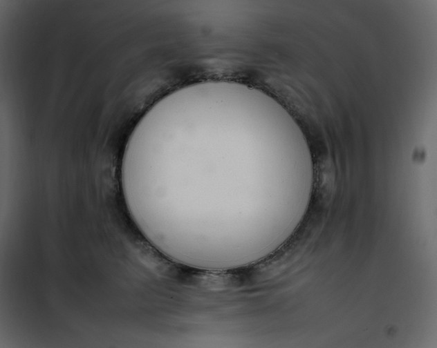 X0000102260615200808081402