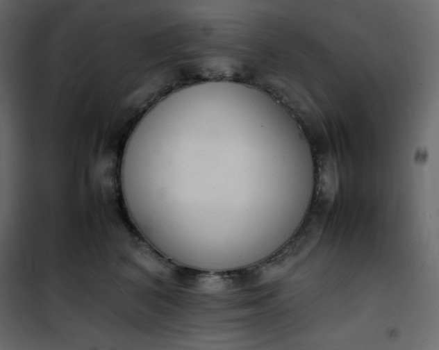 X0000102260616200808081402