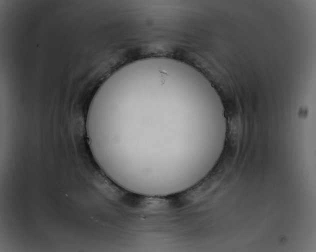 X0000102260617200808081402