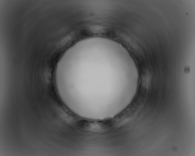 X0000102260618200808081402