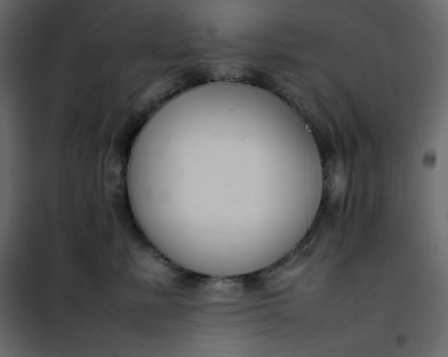 X0000102260619200808081402