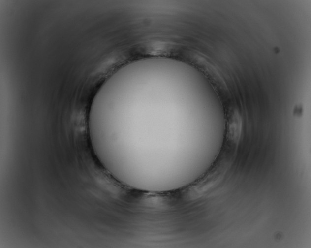 X0000102260620200808081402