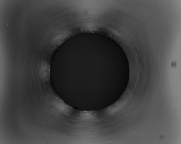 X0000102260624200808081402