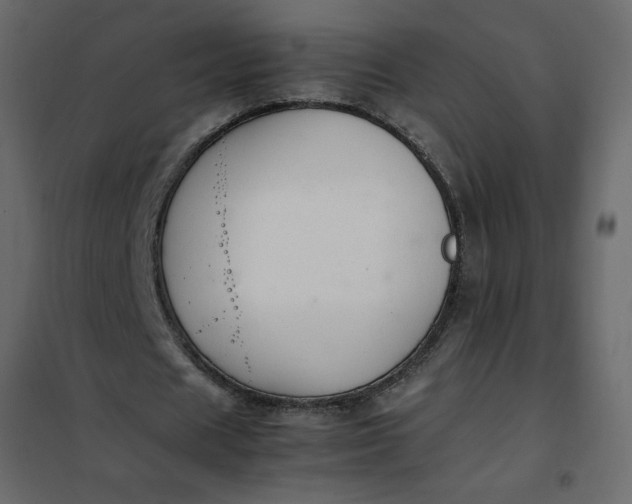 X0000102260625200808081401