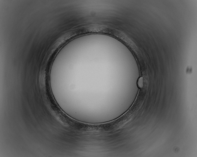 X0000102260626200808081401