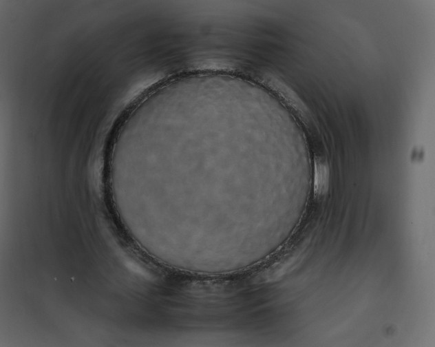 X0000102260627200808081401