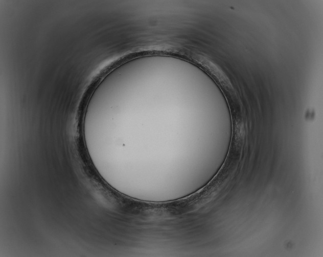 X0000102260628200808081401