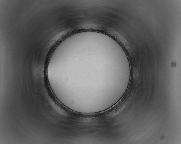 X0000102260629200808081401