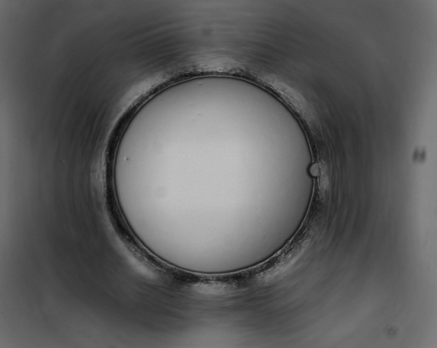 X0000102260630200808081401