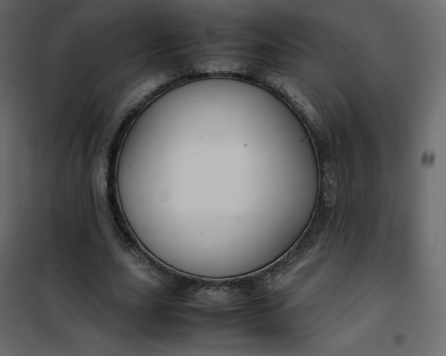 X0000102260631200808081401