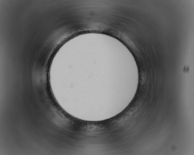 X0000102260632200808081401