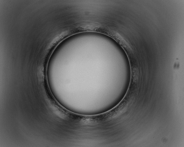 X0000102260634200808081401