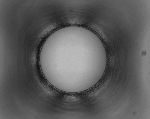 X0000102260635200808081401