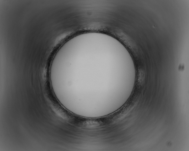 X0000102260636200808081402