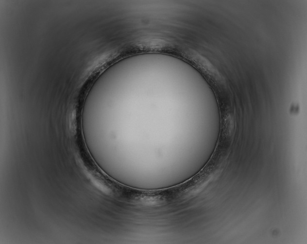 X0000102260638200808081402